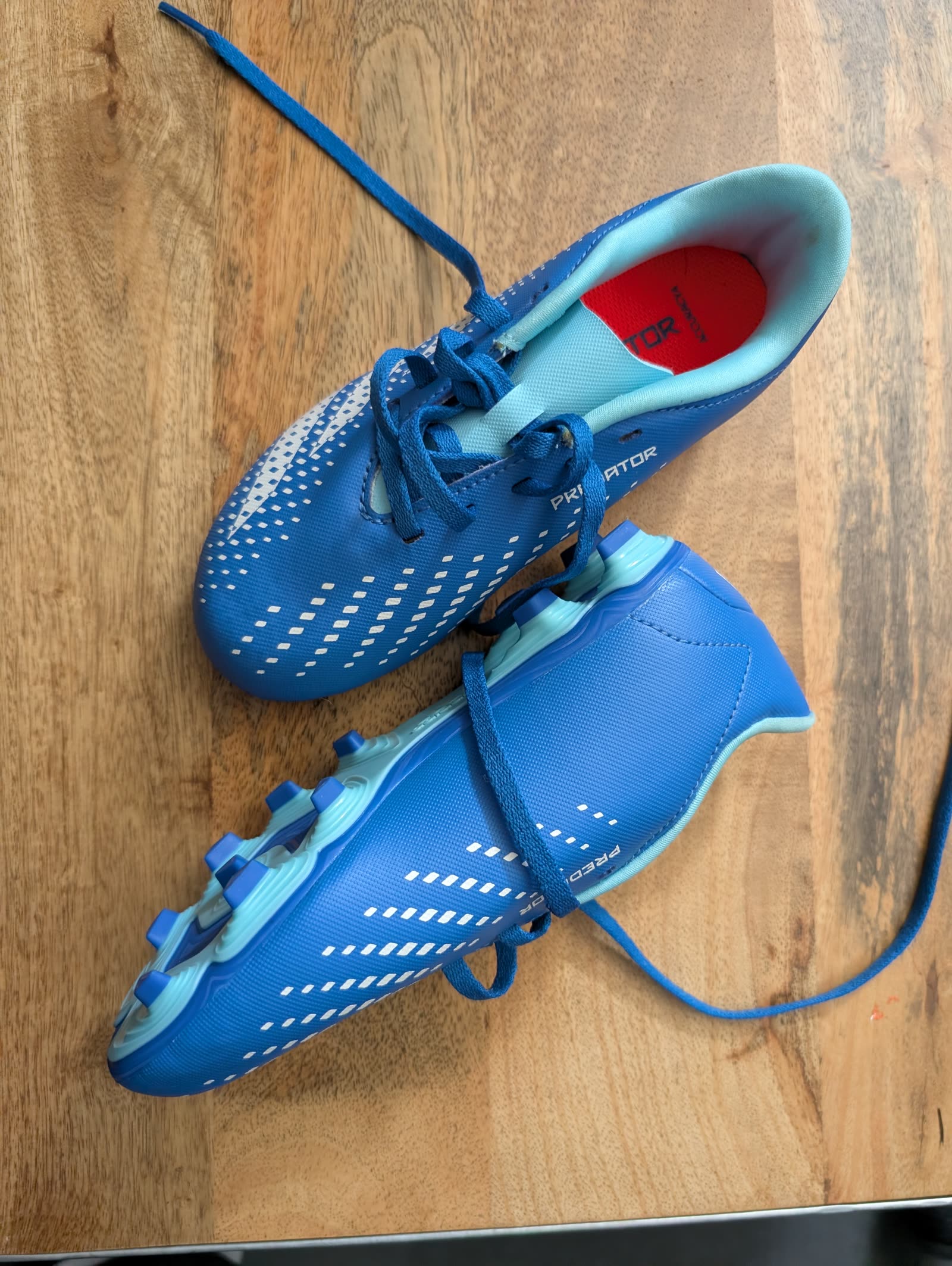 adidas Predator Accuracy.4 FxG cleats, royal blue/cyan, photo 1
